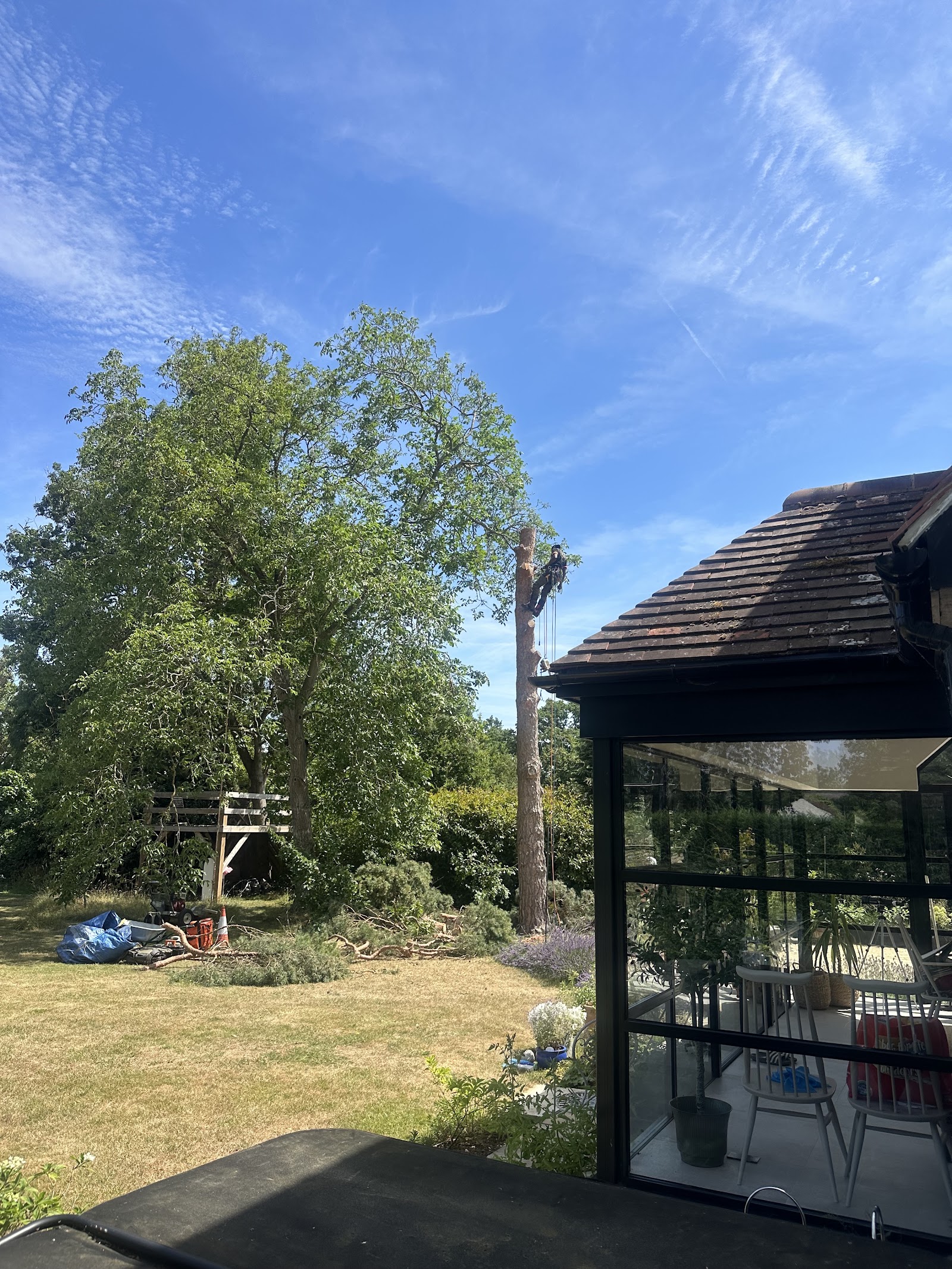 Big tree removal beside a garden room